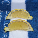 Sparkle Krystal Stud Øreringe Sølvfarvet