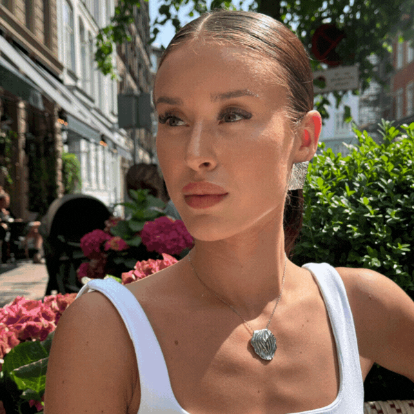 wind silver 3.gif__PID:054c0ecf-884b-4874-a2d7-f2ac74c87142